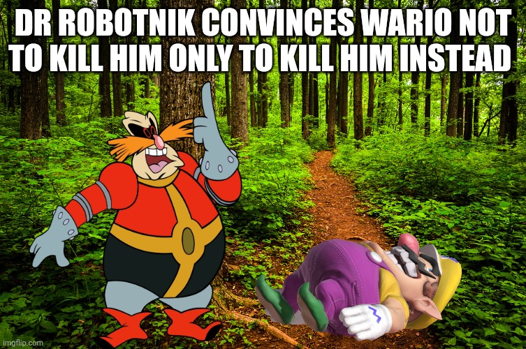 Wario Dies In The Hunger Games.mp3 | DR ROBOTNIK CONVINCES WARIO NOT TO KILL HIM ONLY TO KILL HIM INSTEAD | image tagged in forest path | made w/ Imgflip meme maker