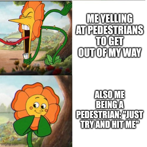 The rules don't apply to me | ME YELLING AT PEDESTRIANS TO GET OUT OF MY WAY; ALSO ME BEING A PEDESTRIAN: "JUST TRY AND HIT ME" | image tagged in cuphead flower | made w/ Imgflip meme maker