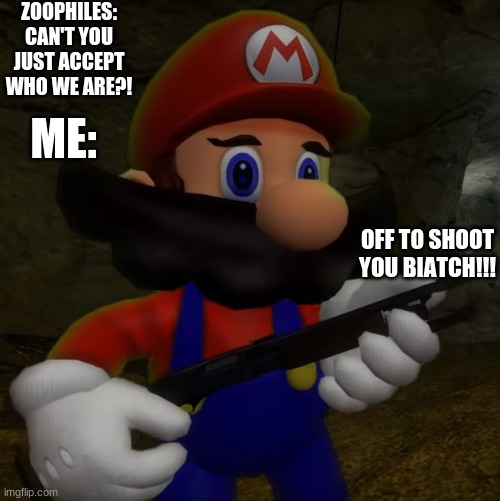 Me when Zoophiles fight back | ZOOPHILES: CAN'T YOU JUST ACCEPT WHO WE ARE?! ME:; OFF TO SHOOT YOU BIATCH!!! | image tagged in shotgun | made w/ Imgflip meme maker