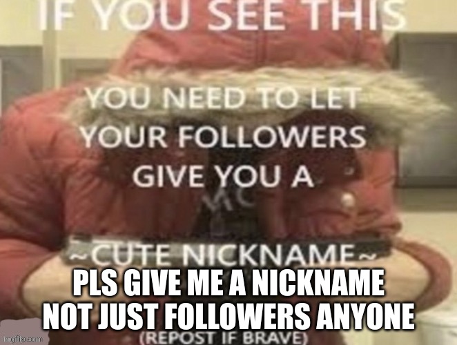 PLS GIVE ME A NICKNAME NOT JUST FOLLOWERS ANYONE | made w/ Imgflip meme maker