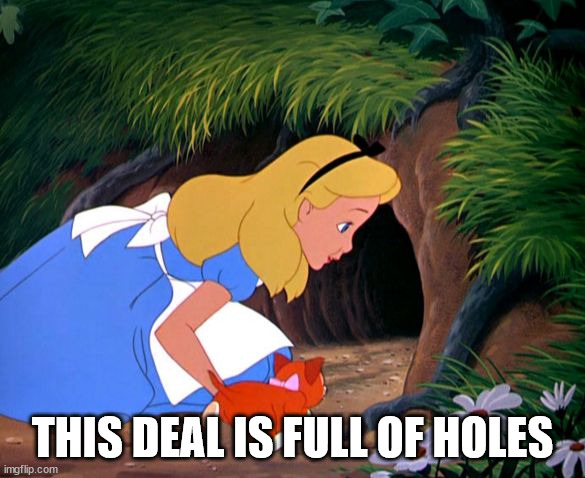 Alice Looking Down the Rabbit Hole | THIS DEAL IS FULL OF HOLES | image tagged in alice looking down the rabbit hole | made w/ Imgflip meme maker