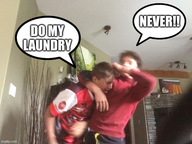 bnfkut | NEVER!! DO MY LAUNDRY | image tagged in funny | made w/ Imgflip meme maker