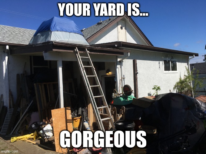 my yard | YOUR YARD IS... GORGEOUS | image tagged in funny | made w/ Imgflip meme maker