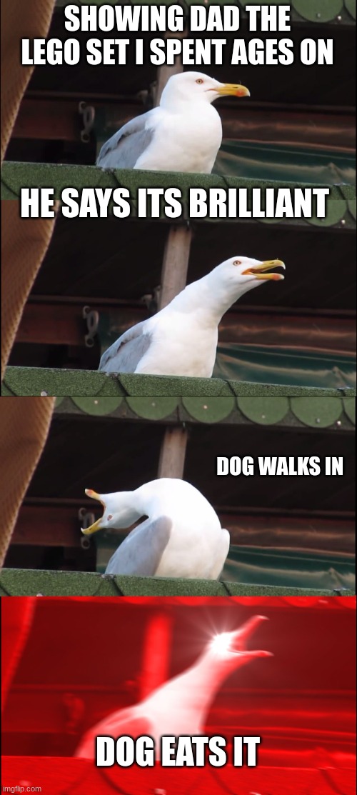 Inhaling Seagull Meme | SHOWING DAD THE LEGO SET I SPENT AGES ON; HE SAYS ITS BRILLIANT; DOG WALKS IN; DOG EATS IT | image tagged in memes,inhaling seagull | made w/ Imgflip meme maker