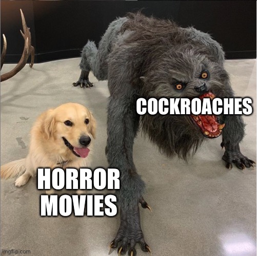 dog vs werewolf |  COCKROACHES; HORROR MOVIES | image tagged in dog vs werewolf,funny,insects,cockroach,horror,memes | made w/ Imgflip meme maker