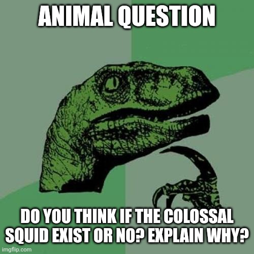 Animal triva be like | ANIMAL QUESTION; DO YOU THINK IF THE COLOSSAL SQUID EXIST OR NO? EXPLAIN WHY? | image tagged in memes,philosoraptor | made w/ Imgflip meme maker