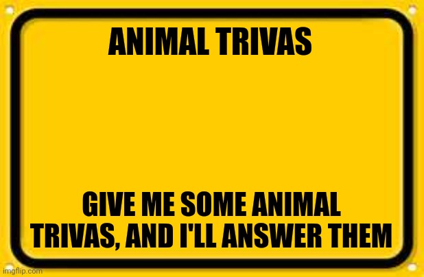 Give me some animal questions | ANIMAL TRIVAS; GIVE ME SOME ANIMAL TRIVAS, AND I'LL ANSWER THEM | image tagged in memes,blank yellow sign,animals | made w/ Imgflip meme maker