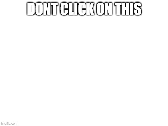 Blank White Template | DONT CLICK ON THIS | image tagged in blank white template | made w/ Imgflip meme maker