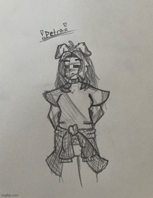 I drew my new main oc Petra :> (ignore crappy handwriting) | image tagged in drawing | made w/ Imgflip meme maker