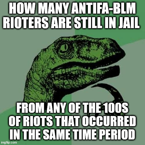 Philosoraptor Meme | HOW MANY ANTIFA-BLM RIOTERS ARE STILL IN JAIL FROM ANY OF THE 100S OF RIOTS THAT OCCURRED IN THE SAME TIME PERIOD | image tagged in memes,philosoraptor | made w/ Imgflip meme maker