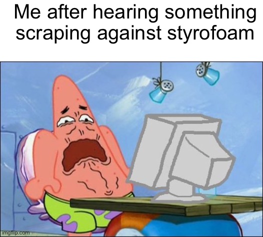 Styrofoam? More like styro-no-am! | Me after hearing something scraping against styrofoam | image tagged in patrick star cringing | made w/ Imgflip meme maker