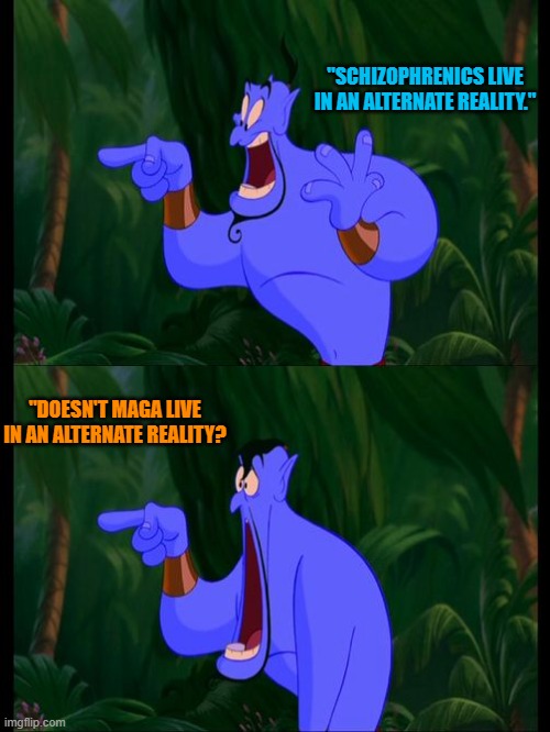 Aladdin Surprised Genie Jaw Drop | "SCHIZOPHRENICS LIVE IN AN ALTERNATE REALITY." "DOESN'T MAGA LIVE IN AN ALTERNATE REALITY? | image tagged in aladdin surprised genie jaw drop | made w/ Imgflip meme maker