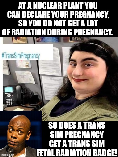 Hmm!  How does a Trans Sim Pregnancy work at a nuclear plant? | AT A NUCLEAR PLANT YOU CAN DECLARE YOUR PREGNANCY, SO YOU DO NOT GET A LOT OF RADIATION DURING PREGNANCY. SO DOES A TRANS SIM PREGNANCY GET A TRANS SIM FETAL RADIATION BADGE! | image tagged in excuse me what the heck | made w/ Imgflip meme maker