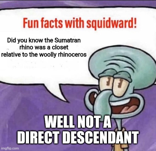 Fun Facts with Squidward - Imgflip