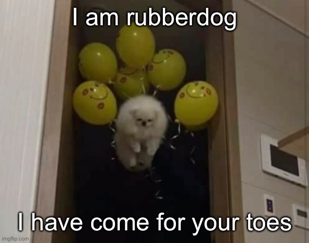 E | I am rubberdog; I have come for your toes | made w/ Imgflip meme maker