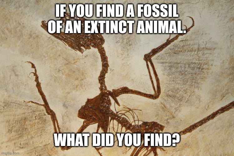 I like questions | IF YOU FIND A FOSSIL OF AN EXTINCT ANIMAL. WHAT DID YOU FIND? | image tagged in what n' fossilization | made w/ Imgflip meme maker