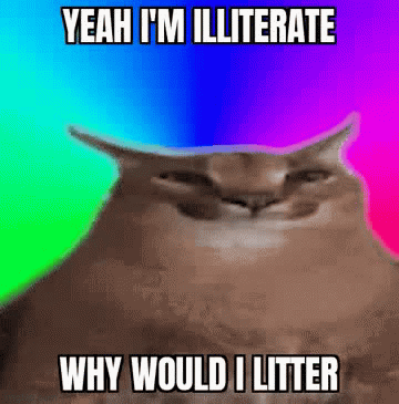 Animated GIF - Imgflip
