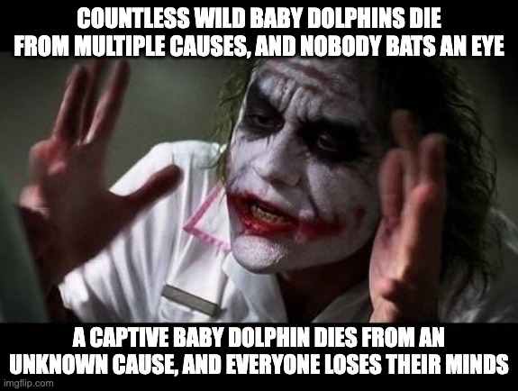 Double Standards | COUNTLESS WILD BABY DOLPHINS DIE FROM MULTIPLE CAUSES, AND NOBODY BATS AN EYE; A CAPTIVE BABY DOLPHIN DIES FROM AN UNKNOWN CAUSE, AND EVERYONE LOSES THEIR MINDS | image tagged in joker everyone loses their minds | made w/ Imgflip meme maker