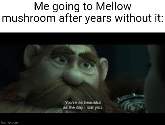 You're as beautiful as the day i lost you | Me going to Mellow mushroom after years without it: | image tagged in you're as beautiful as the day i lost you | made w/ Imgflip meme maker