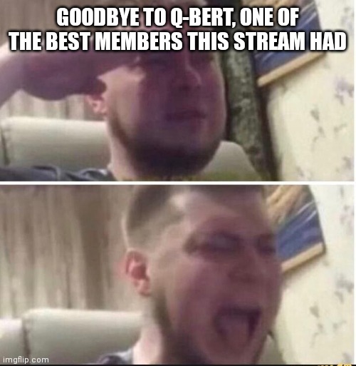 Bye Q-Bert | GOODBYE TO Q-BERT, ONE OF THE BEST MEMBERS THIS STREAM HAD | image tagged in crying salute,bye | made w/ Imgflip meme maker
