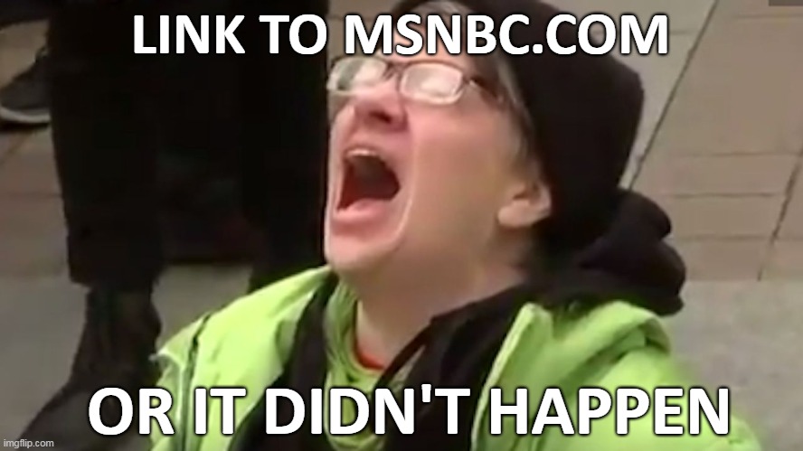 Screaming Liberal  | LINK TO MSNBC.COM OR IT DIDN'T HAPPEN | image tagged in screaming liberal | made w/ Imgflip meme maker