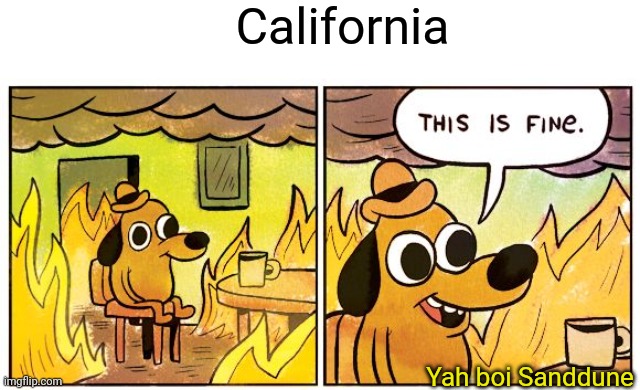 It's 110° | California; Yah boi Sanddune | image tagged in memes,this is fine | made w/ Imgflip meme maker