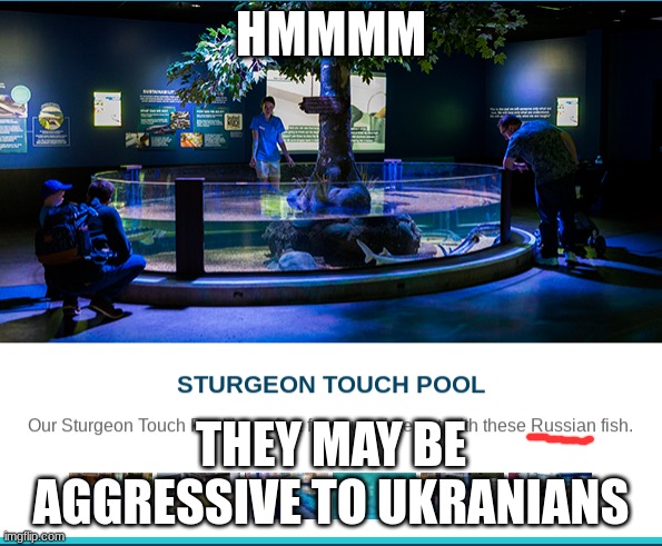 HMMMMMMMMMMMMM | HMMMM; THEY MAY BE AGGRESSIVE TO UKRANIANS | image tagged in aquarium,russia | made w/ Imgflip meme maker