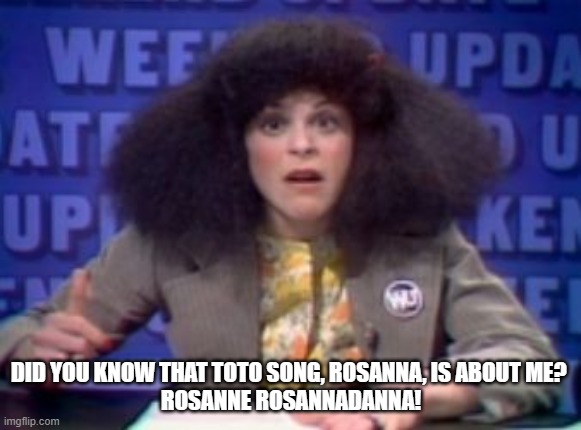 Totally "true story" | DID YOU KNOW THAT TOTO SONG, ROSANNA, IS ABOUT ME? 
ROSANNE ROSANNADANNA! | image tagged in rosanne rosannadanna | made w/ Imgflip meme maker