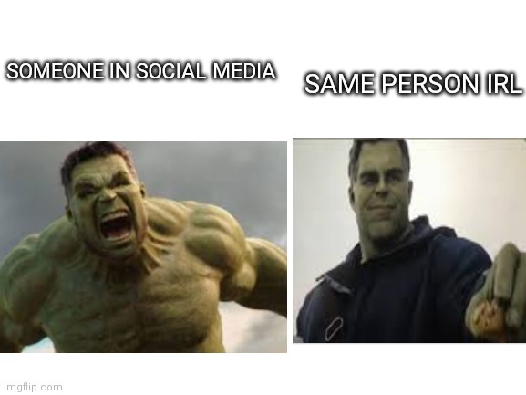 People in social media vs. Real life | SOMEONE IN SOCIAL MEDIA; SAME PERSON IRL | image tagged in hulk taco | made w/ Imgflip meme maker