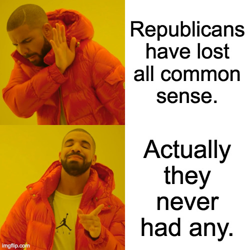 Drake Hotline Bling Meme | Republicans
have lost
all common
sense. Actually
they
never
had any. | image tagged in memes,drake hotline bling | made w/ Imgflip meme maker