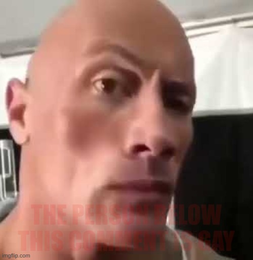 The Rock Eyebrows | THE PERSON BELOW THIS COMMENT IS GAY | image tagged in the rock eyebrows | made w/ Imgflip meme maker