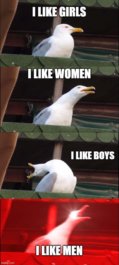 SeaGull | I LIKE GIRLS; I LIKE WOMEN; I LIKE BOYS; I LIKE MEN | image tagged in memes,inhaling seagull | made w/ Imgflip meme maker