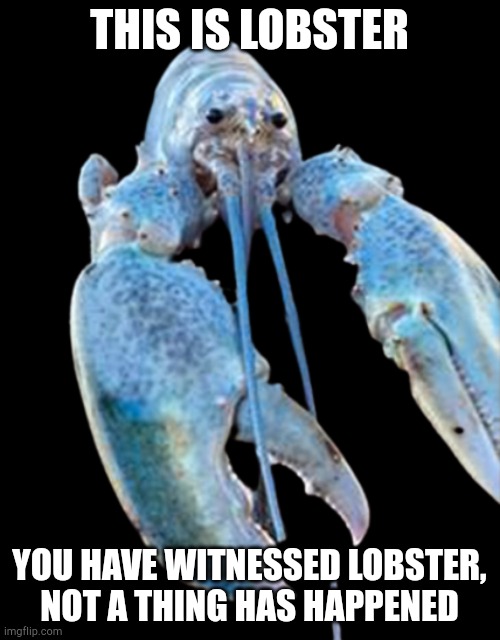 e | THIS IS LOBSTER; YOU HAVE WITNESSED LOBSTER, NOT A THING HAS HAPPENED | made w/ Imgflip meme maker