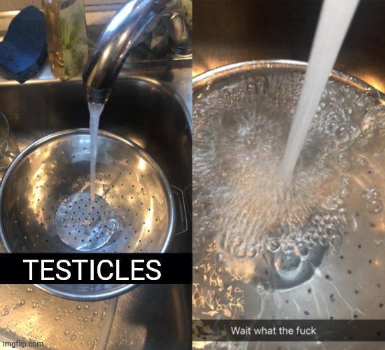 Filled | TESTICLES | image tagged in filled | made w/ Imgflip meme maker