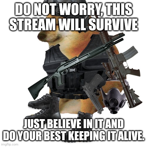 DO NOT WORRY, THIS STREAM WILL SURVIVE; JUST BELIEVE IN IT AND DO YOUR BEST KEEPING IT ALIVE. | made w/ Imgflip meme maker