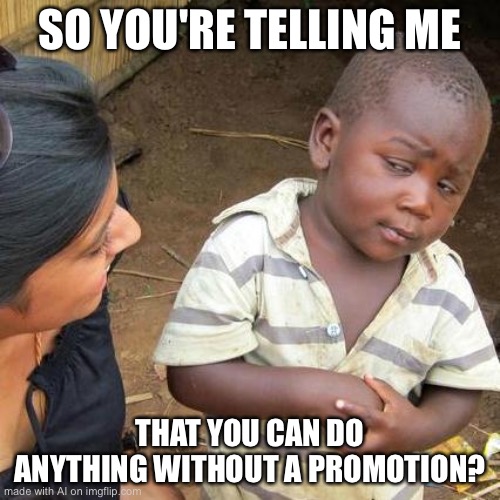 Third World Skeptical Kid Meme | SO YOU'RE TELLING ME; THAT YOU CAN DO ANYTHING WITHOUT A PROMOTION? | image tagged in memes,third world skeptical kid | made w/ Imgflip meme maker