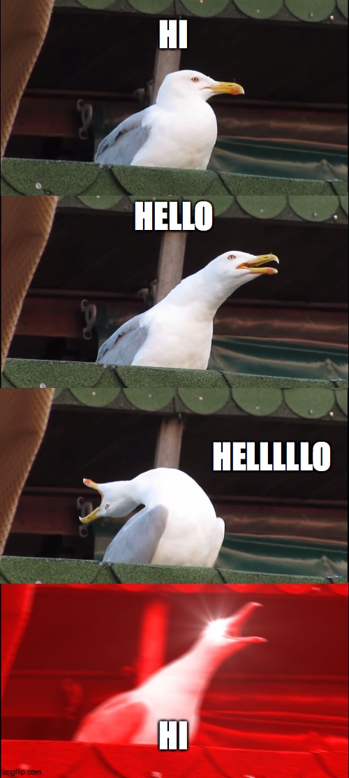 Inhaling Seagull Meme | HI; HELLO; HELLLLLO; HI | image tagged in memes,inhaling seagull | made w/ Imgflip meme maker