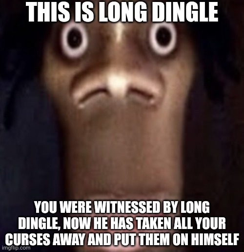 long dingle | THIS IS LONG DINGLE; YOU WERE WITNESSED BY LONG DINGLE, NOW HE HAS TAKEN ALL YOUR CURSES AWAY AND PUT THEM ON HIMSELF | made w/ Imgflip meme maker