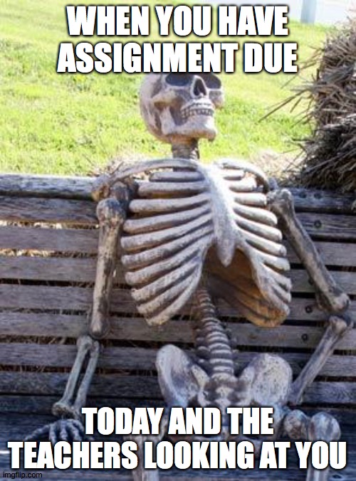 Waiting Skeleton | WHEN YOU HAVE ASSIGNMENT DUE; TODAY AND THE TEACHERS LOOKING AT YOU | image tagged in memes,waiting skeleton | made w/ Imgflip meme maker