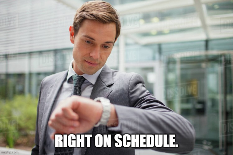 Businessman looking at watch | RIGHT ON SCHEDULE. | image tagged in businessman looking at watch | made w/ Imgflip meme maker