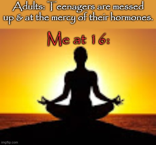 When I achieved enlightenment. | Adults: Teenagers are messed up & at the mercy of their hormones. Me at 16: | image tagged in meditation,youth,stereotypes,my pokemon can't stop laughing you are wrong,asexual | made w/ Imgflip meme maker