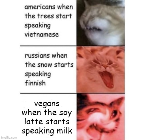 M I L K | vegans when the soy latte starts speaking milk | image tagged in snow speaking finnish,milk,vegans,dumb meme | made w/ Imgflip meme maker