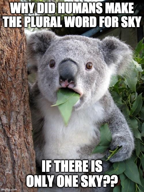 ... | WHY DID HUMANS MAKE THE PLURAL WORD FOR SKY; IF THERE IS ONLY ONE SKY?? | image tagged in memes,surprised koala | made w/ Imgflip meme maker