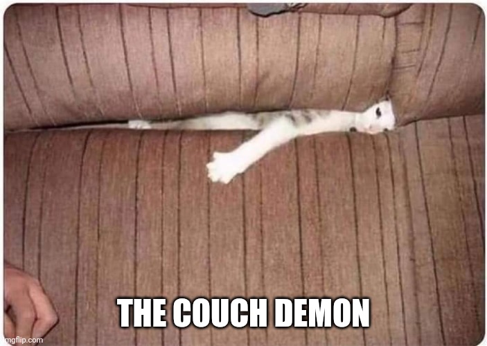 KITTY IS THE DEMON OF THE COUCH | THE COUCH DEMON | image tagged in cats,funny cats | made w/ Imgflip meme maker