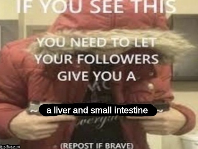 a liver and small intestine | made w/ Imgflip meme maker