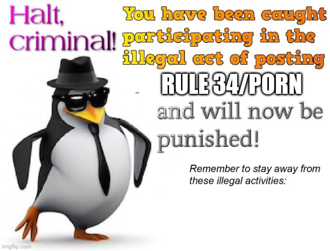 halt criminal! | RULE 34/PORN | image tagged in halt criminal | made w/ Imgflip meme maker