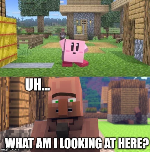 KIRBY IN MINECRAFT | UH... WHAT AM I LOOKING AT HERE? | image tagged in minecraft,kirby,minecraft villagers,villager,minecraft memes | made w/ Imgflip meme maker