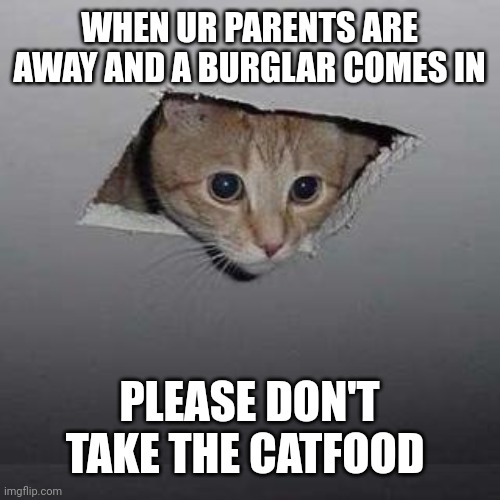 Ceiling Cat Meme | WHEN UR PARENTS ARE AWAY AND A BURGLAR COMES IN; PLEASE DON'T TAKE THE CATFOOD | image tagged in memes,ceiling cat | made w/ Imgflip meme maker
