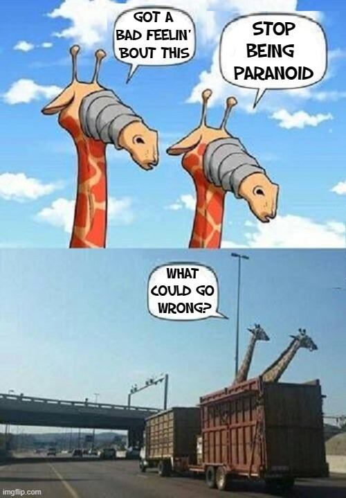 They never read "Transporting Giraffes for Dummies" | GOT A BAD FEELIN' 'BOUT THIS; STOP
BEING 
PARANOID; WHAT 
COULD GO 
WRONG? | image tagged in vince vance,paranoid,giraffes,transport,funny animal meme,what could go wrong | made w/ Imgflip meme maker