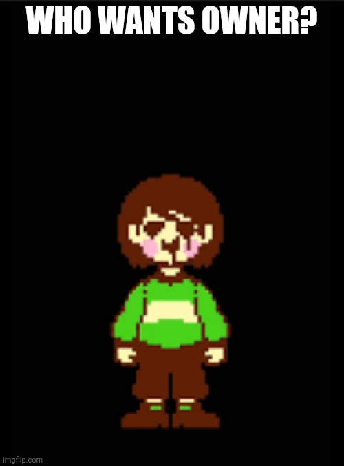 ??? | WHO WANTS OWNER? | image tagged in -chara_tgm- template | made w/ Imgflip meme maker